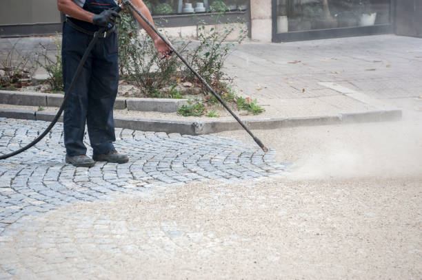 Best Roof Washing  in Wallace, FL