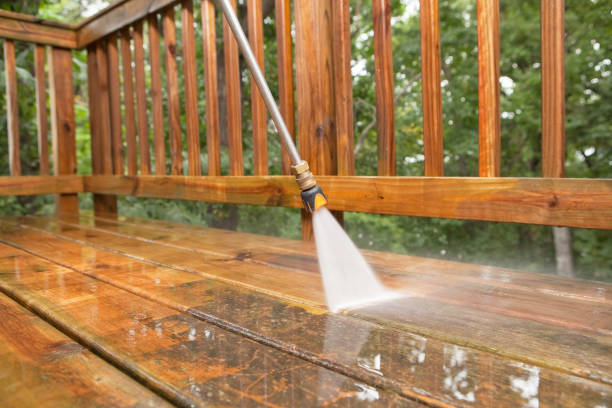 Best Solar Panel Cleaning  in Wallace, FL